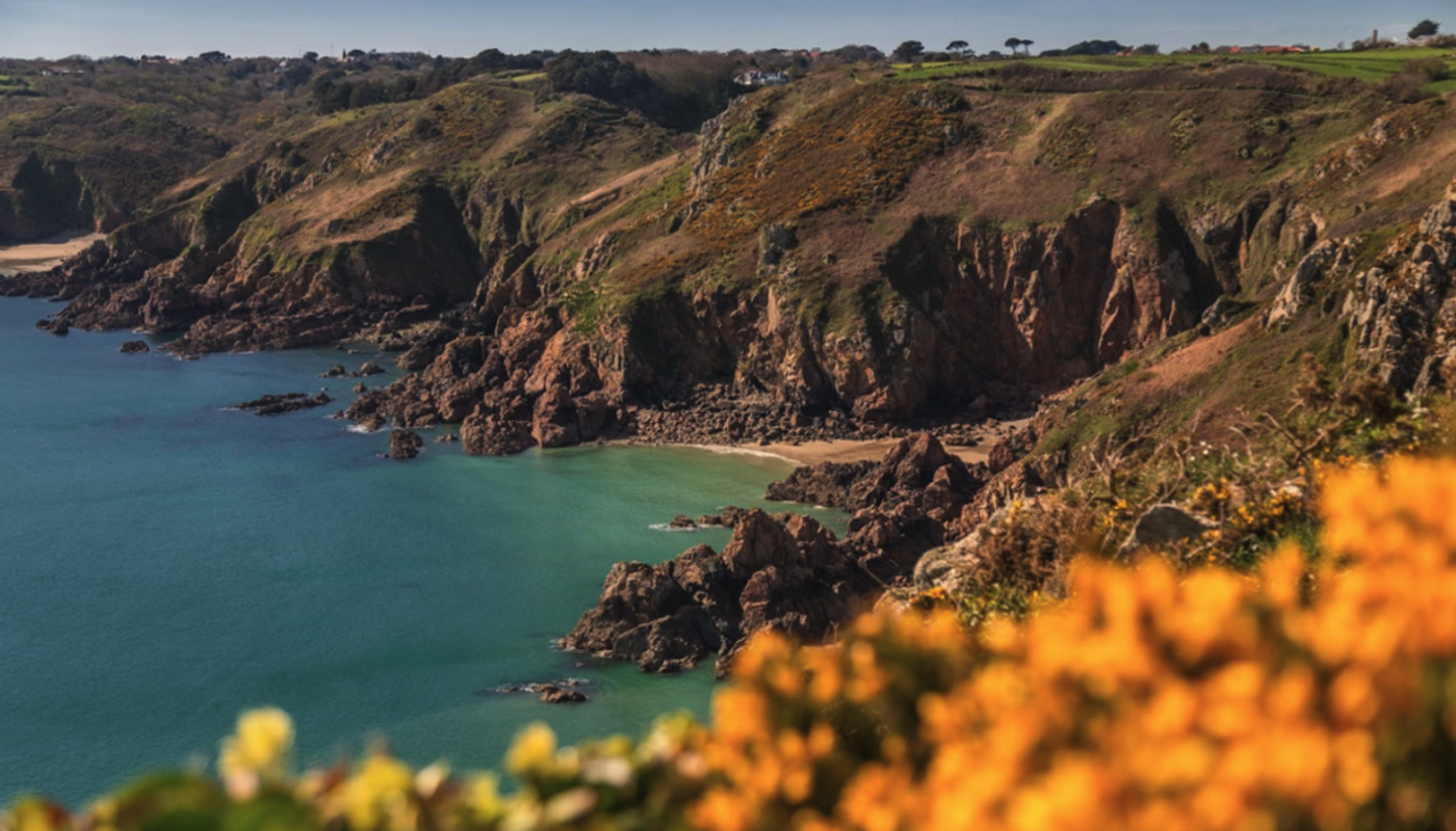 5 Best KYC Software for Guernsey Financial Firms