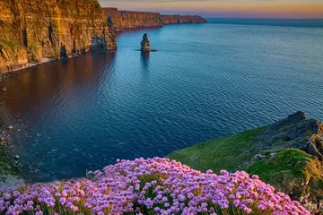 register-a-company-in-ireland-online