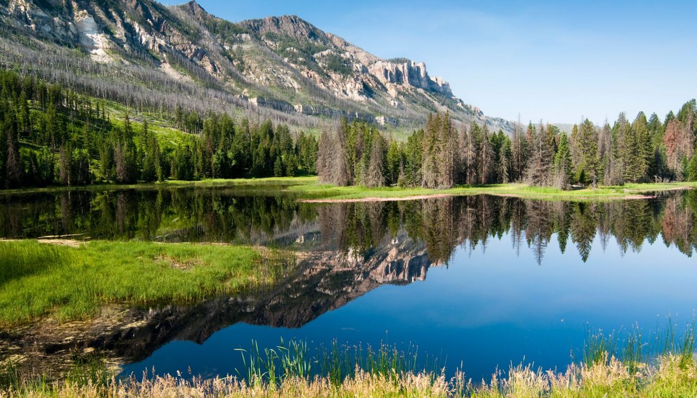 Cost of Forming a Wyoming LLC in 2026 