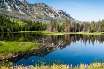 cost-of-forming-a-wyoming-llc