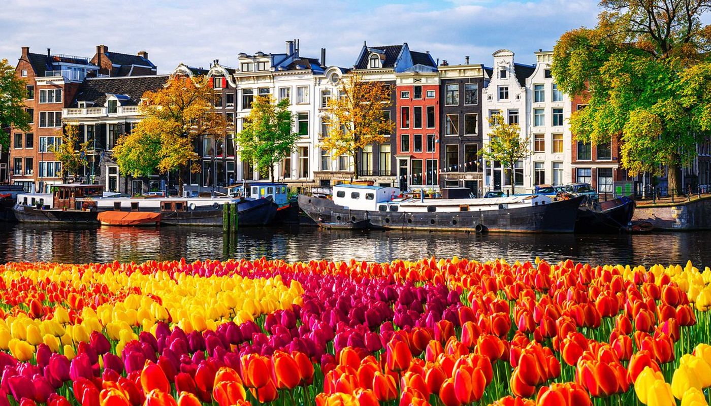 KYB Compliance in the Netherlands: Complete 2026 Guide