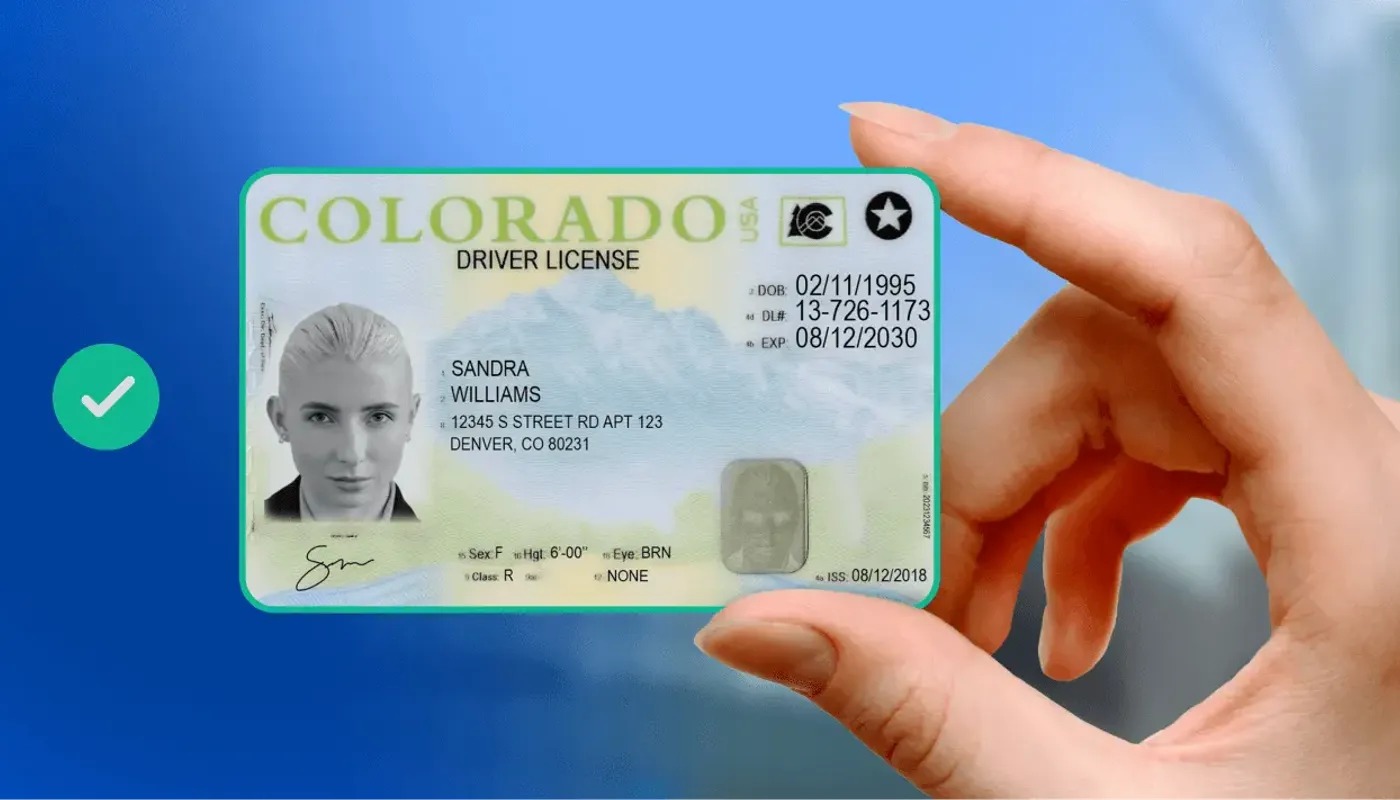 A Complete Guide to ID Document Verification